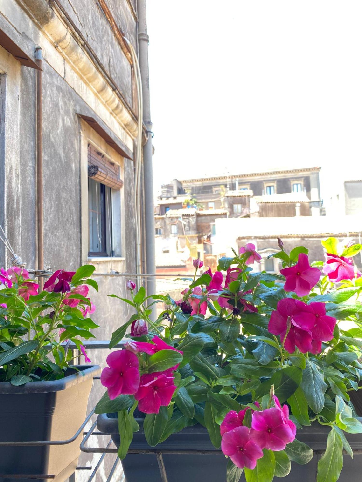 Dimora Dei Minoriti Bed & Breakfast CTA Exterior photo